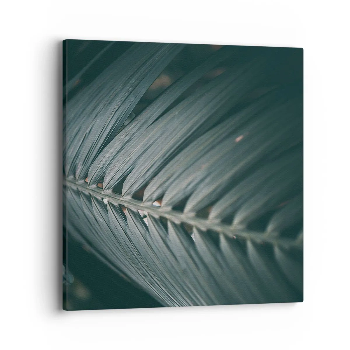 Schilderen op canvas - De precisie van de natuur - 40x40 cm