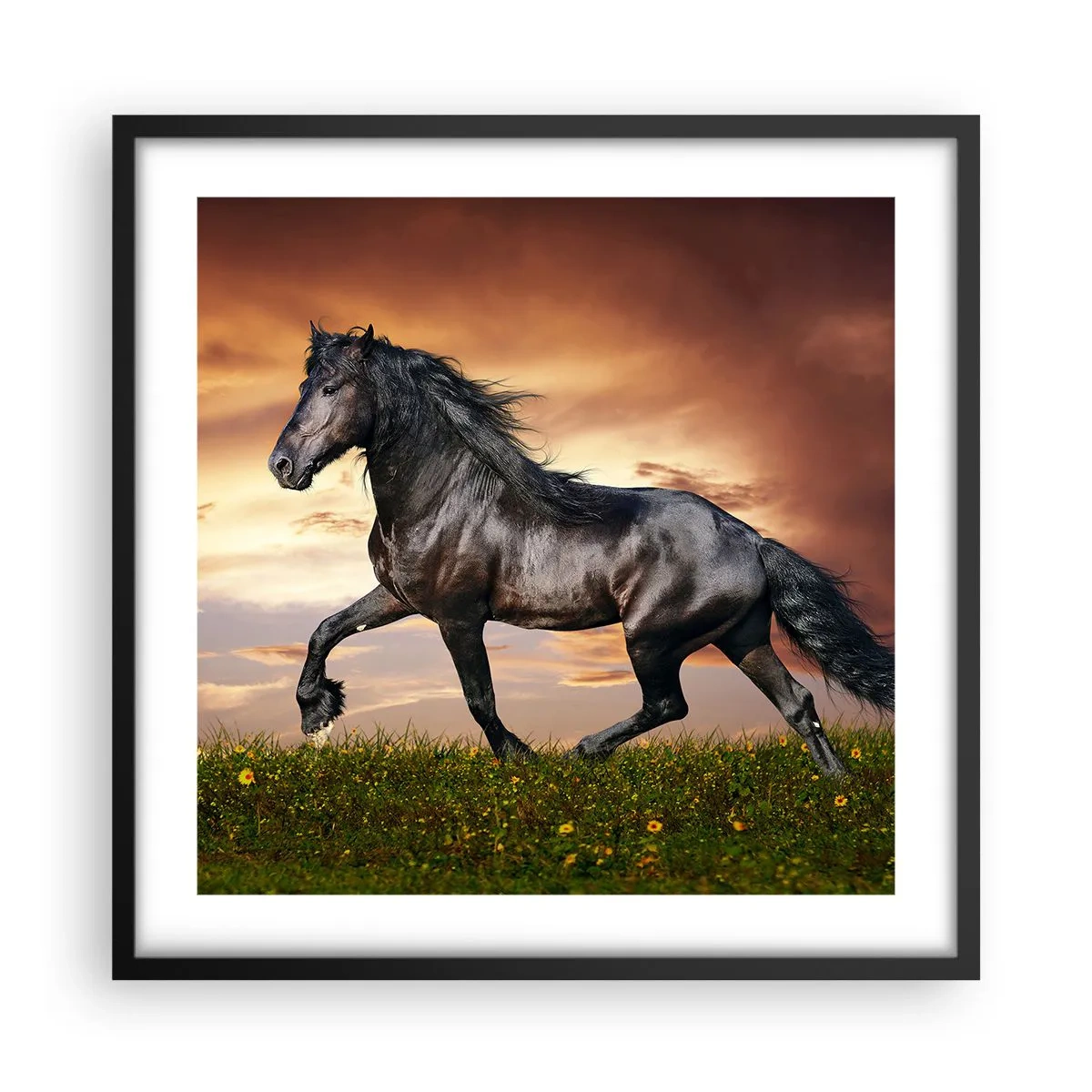 Poster in een zwarte lijst - Zwarte Prins - 50x50 cm