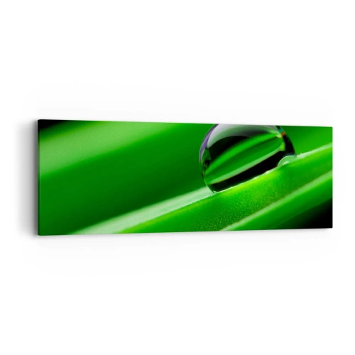 Schilderen op canvas - Leven van dichtbij - 90x30 cm