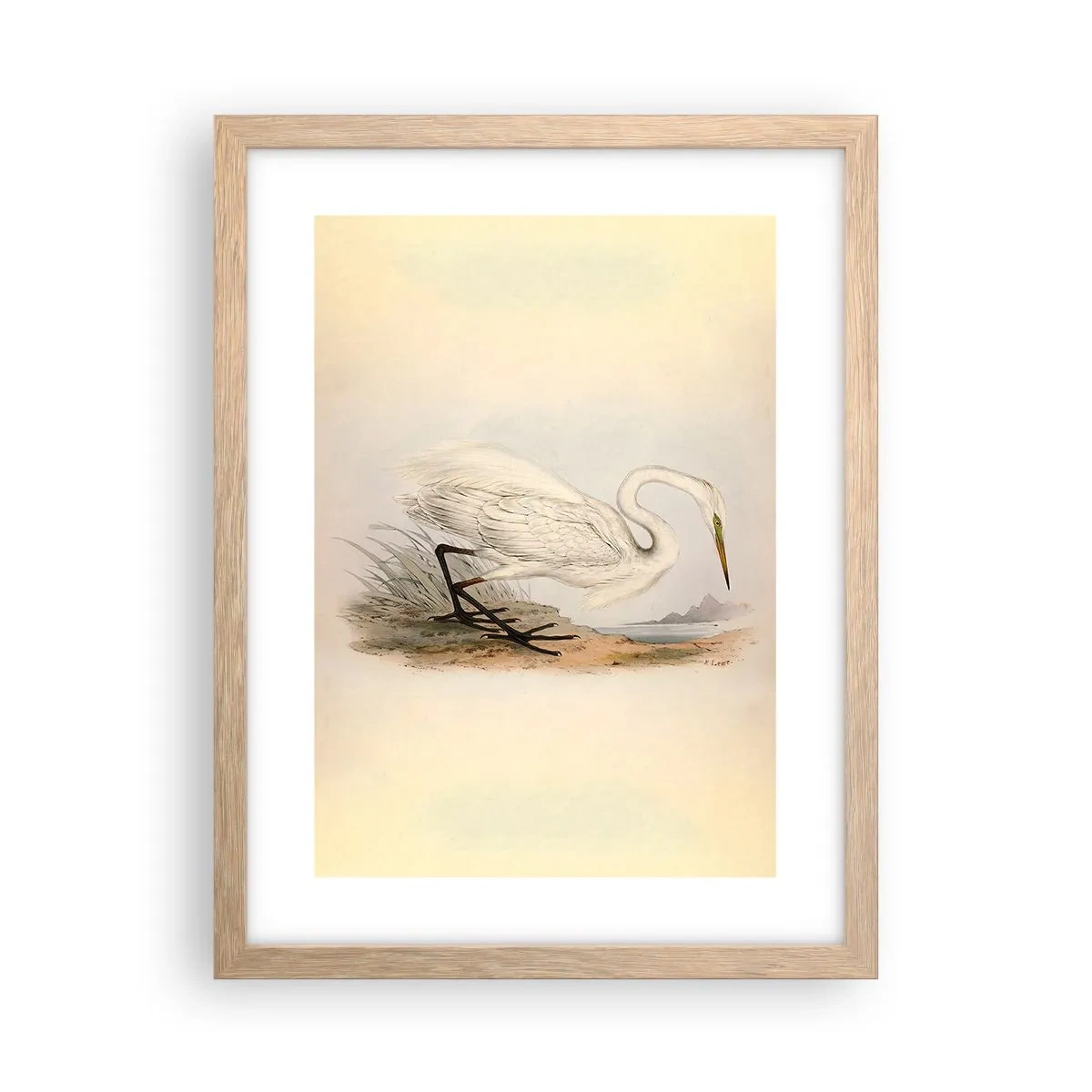 Een poster in een licht eiken lijst - Dame op de biezen - 30x40 cm