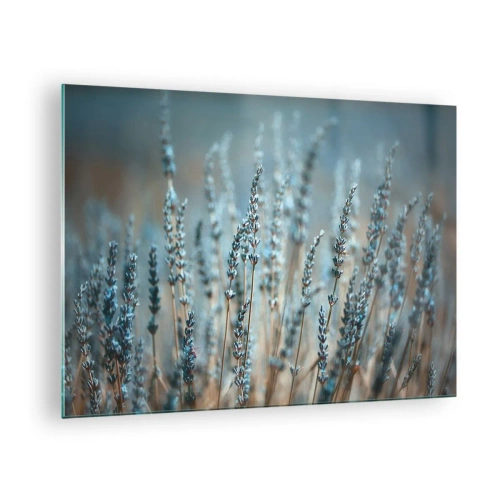 Schilderen op glas - Een lavendelveld in zacht, koel licht - 70x50cm - Geurig korenveld - Moderne wanddecoratie voor woonkamer en slaapkamer ARTTOR