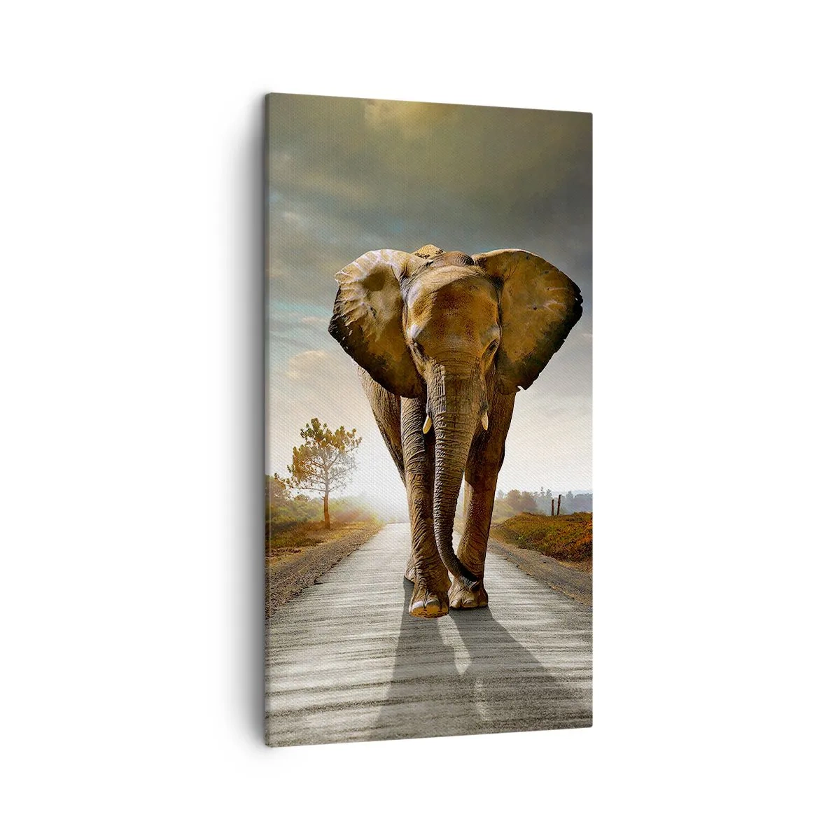 Schilderen op canvas - En helemaal niet in een porseleinen pakhuis - 45x80 cm