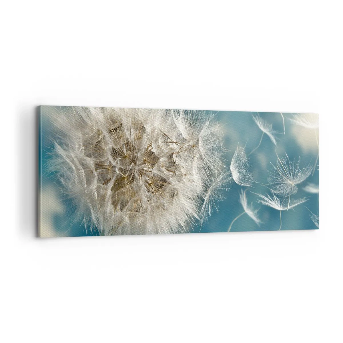 Schilderen op canvas - Engelen adem - 100x40 cm