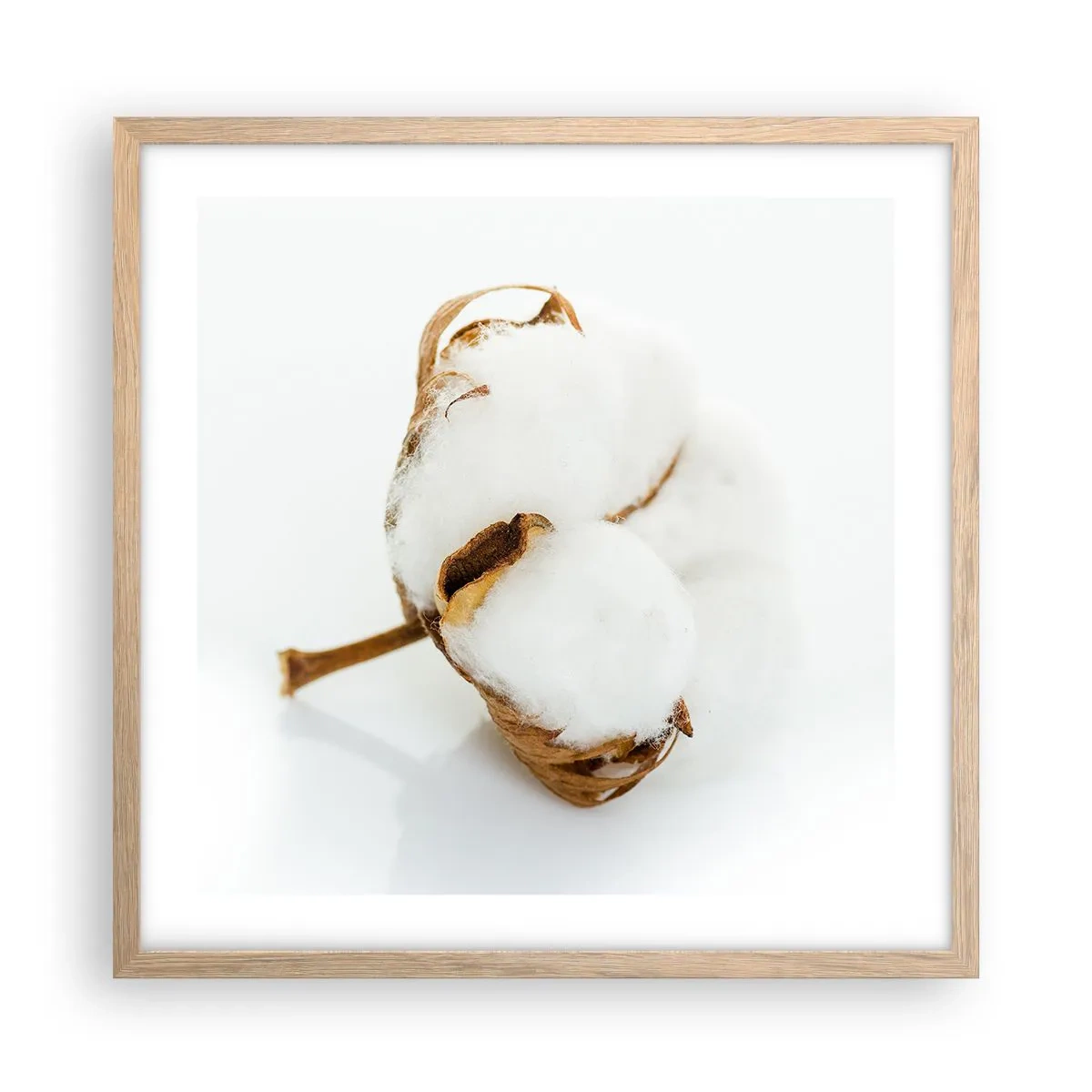 Een poster in een licht eiken lijst - Zacht van aard - 50x50 cm