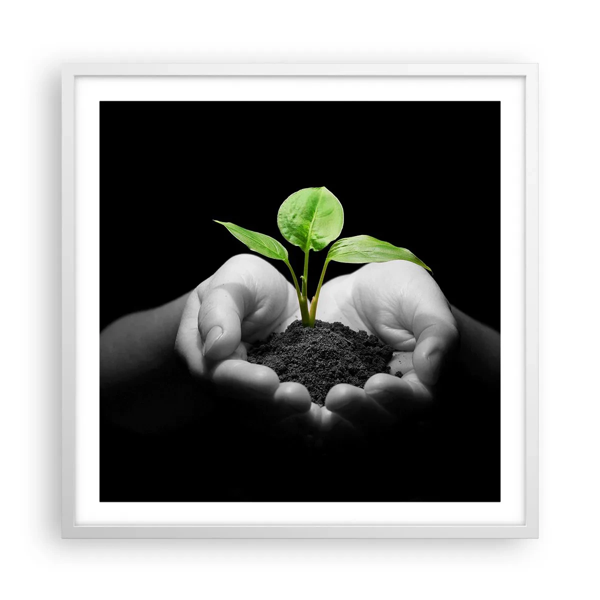 Poster in een witte lijst - Ik hou van de natuur, ik bescherm haar - 60x60 cm