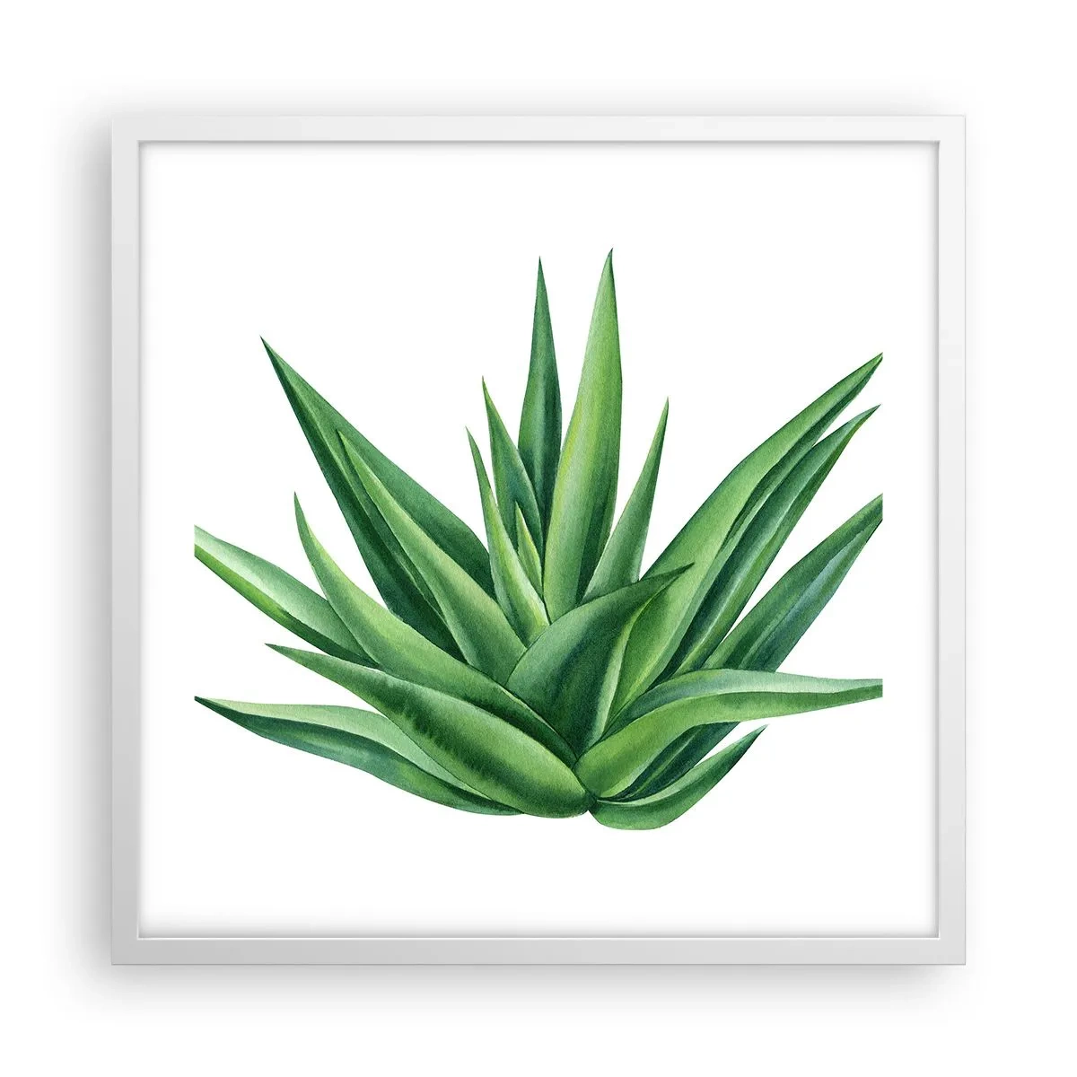 Poster in een witte lijst - Groen – kracht – leven - 50x50 cm