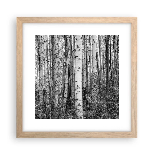 Een poster in een licht eiken lijst - Berken colonnade - 30x30 cm