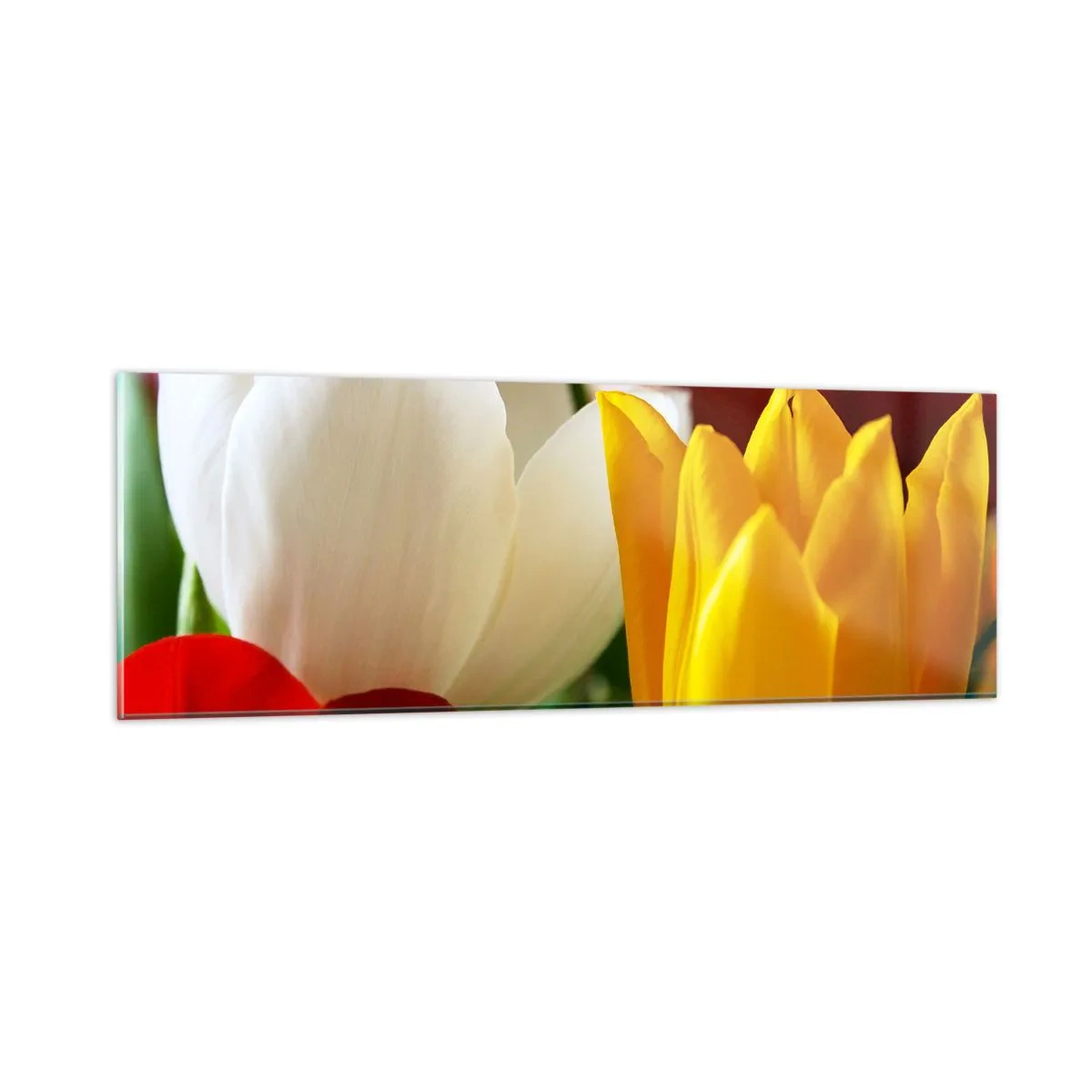 Schilderen op glas - Tulpenkoorts - 90x30 cm