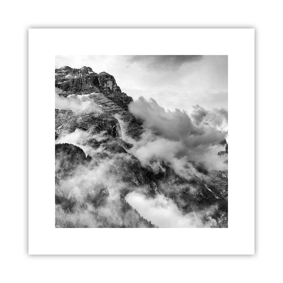 Poster - Mooi en wreed - 30x30 cm
