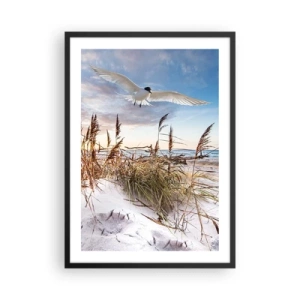 Poster in een zwarte lijst - Een vogel in vlucht over de duinen en de zee bij zonsondergang - 50x70cm - Wind uit zee - Moderne wanddecoratie voor woonkamer en slaapkamer ARTTOR