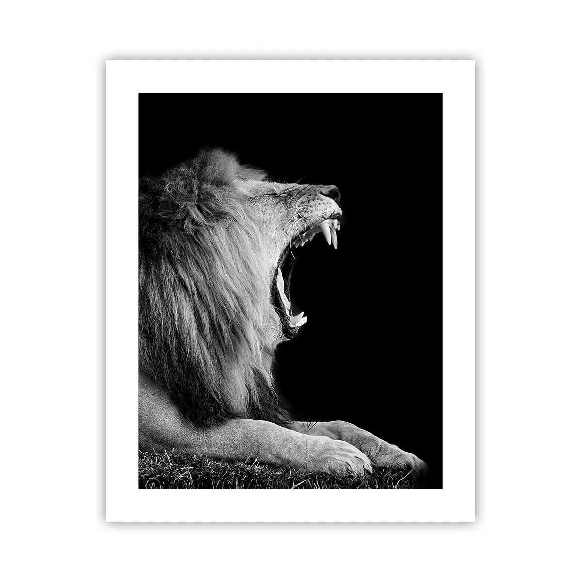 Poster - Zonder enige twijfel - 40x50 cm