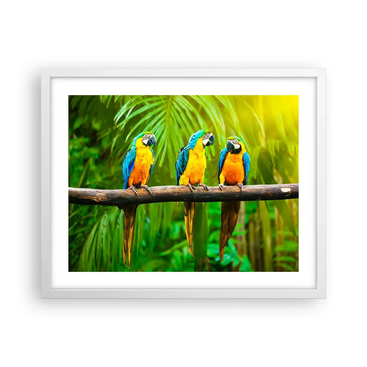 Poster in een witte lijst - En heb je gehoord dat ze...? - 50x40 cm