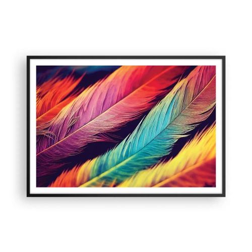 Poster in een zwarte lijst - Gevederde regenboog - 100x70 cm