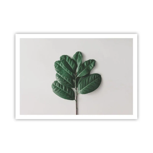 Poster - Een tekening van de pure natuur - 100x70 cm