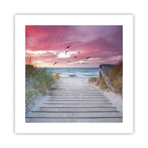 Poster - Baltische indruk - 40x40 cm