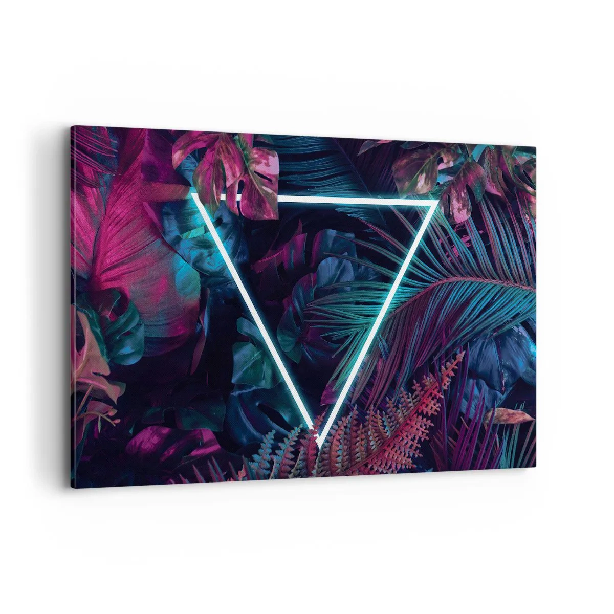 Schilderen op canvas - Disco-achtige tuin - 120x80 cm