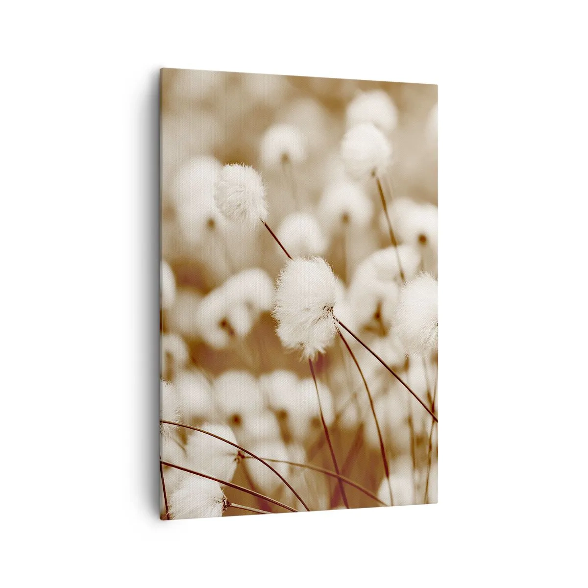 Schilderen op canvas - Pluizig korenveld - 70x100 cm