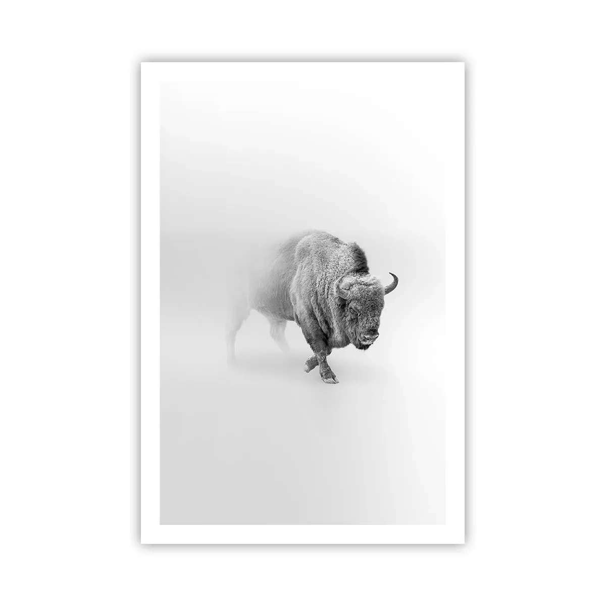 Poster - Koning van de prairie - 61x91 cm