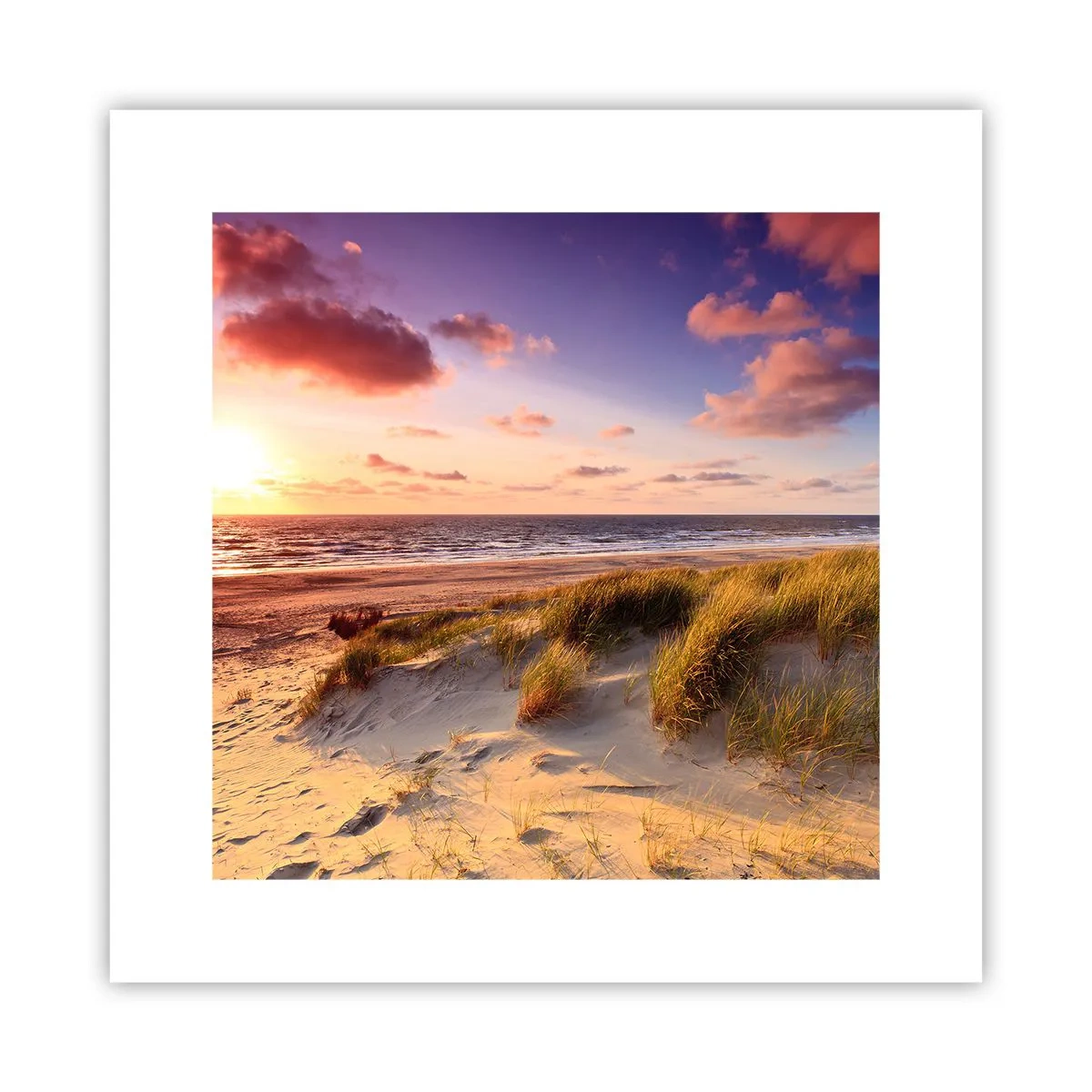 Poster - De lucht ruikt al in de zomer - 30x30 cm