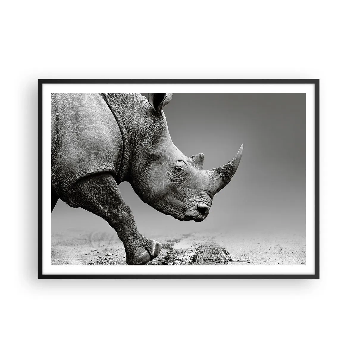 Poster in een zwarte lijst - Onstuitbare kracht - 100x70 cm