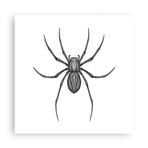 Poster - Verontrustende precisie - 60x60 cm