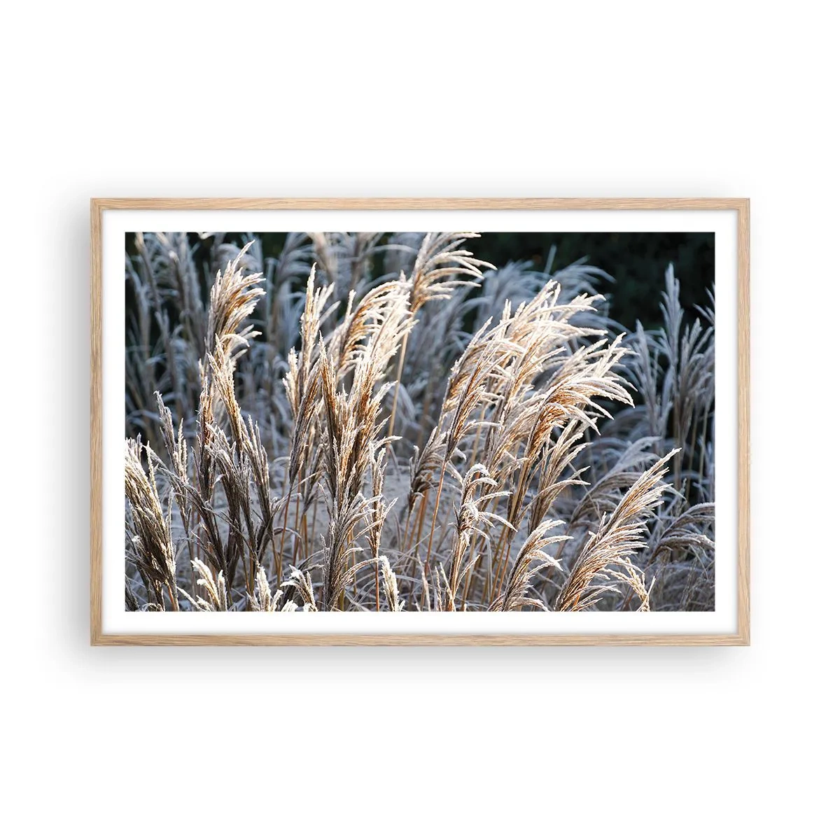 Een poster in een licht eiken lijst - Gekleed met vorst - 91x61 cm