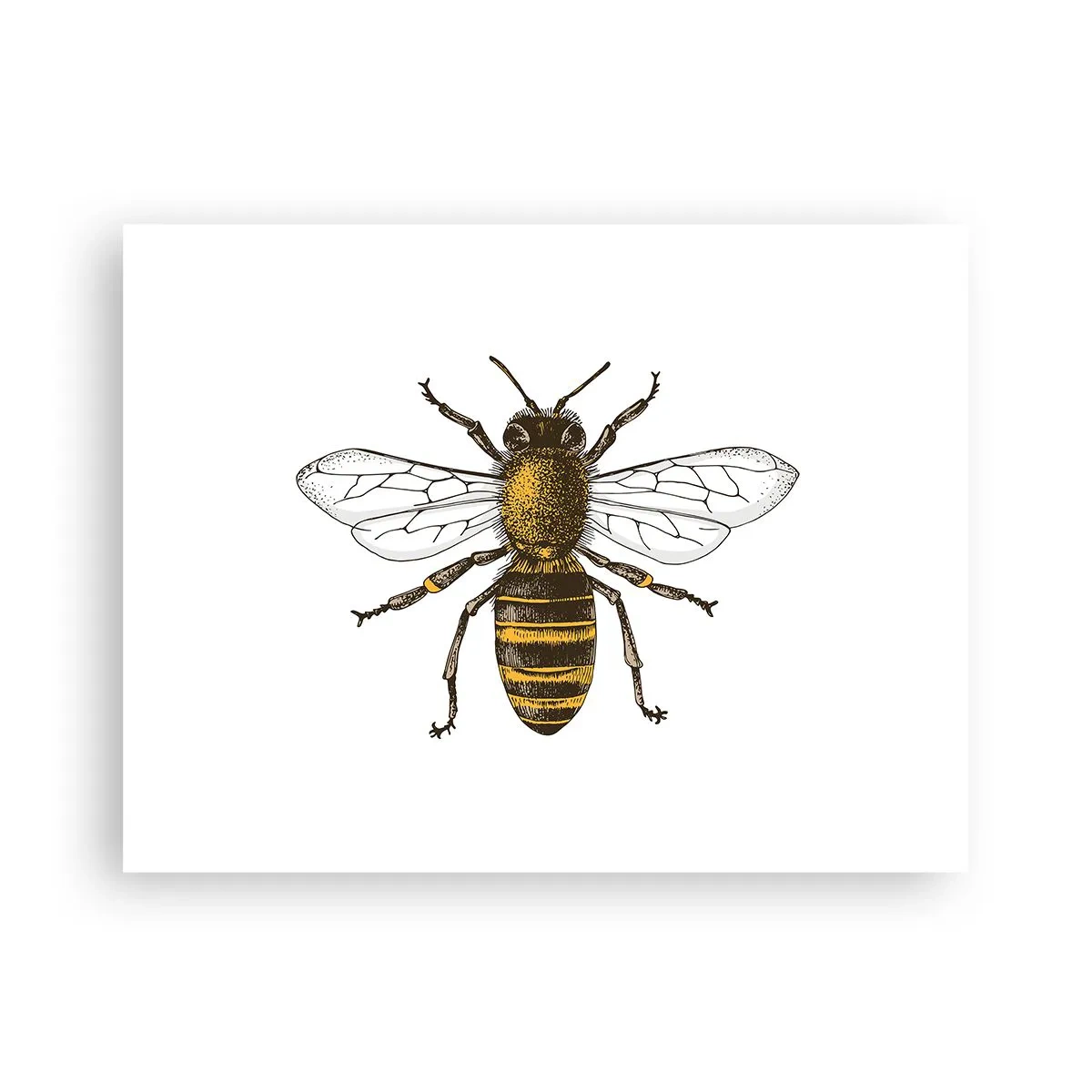 Poster - Mooi en goed - 40x30 cm