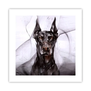 Poster - Hooggeboren - 40x40 cm