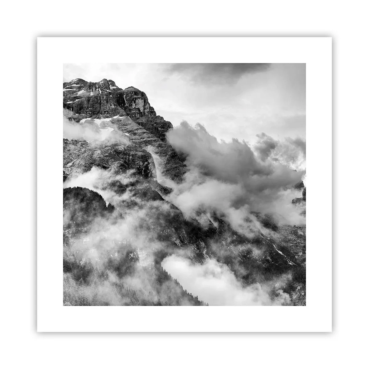 Poster - Mooi en wreed - 40x40 cm