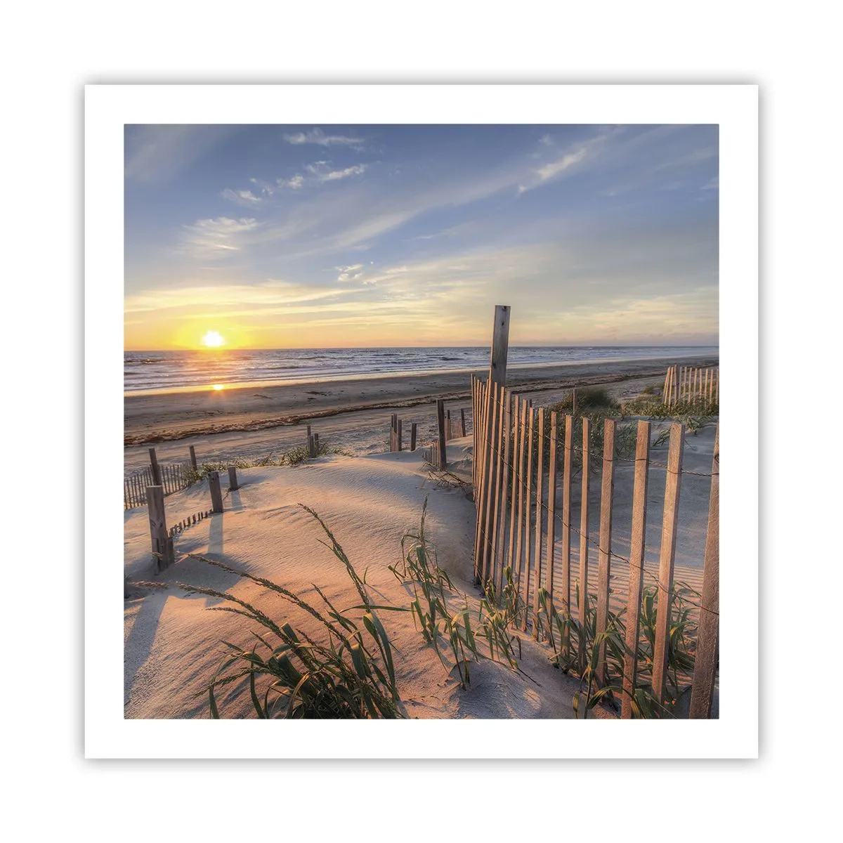 Poster - Glans en schaduw van de wind - 60x60 cm