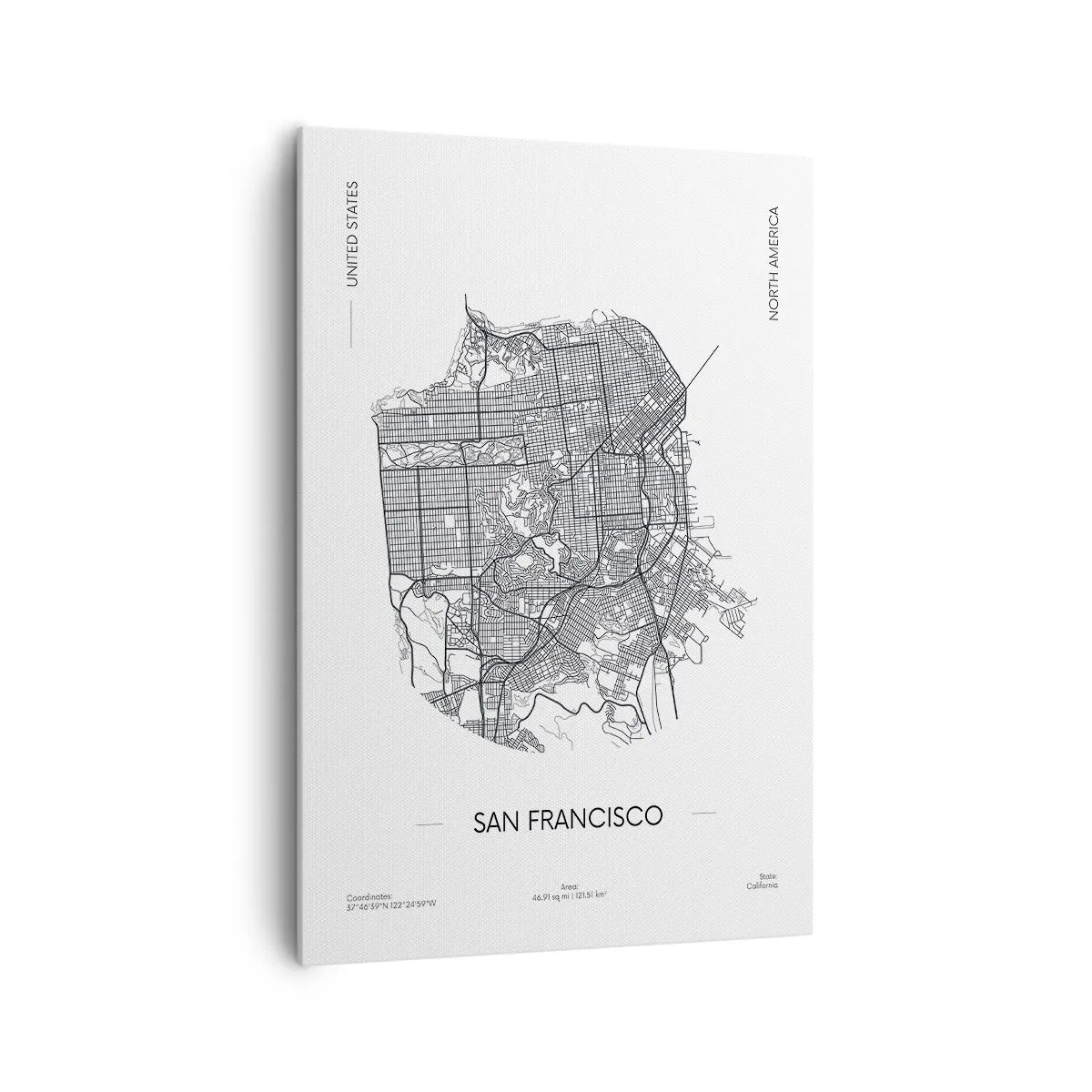 Schilderen op canvas - Anatomie van San Francisco - 70x100 cm