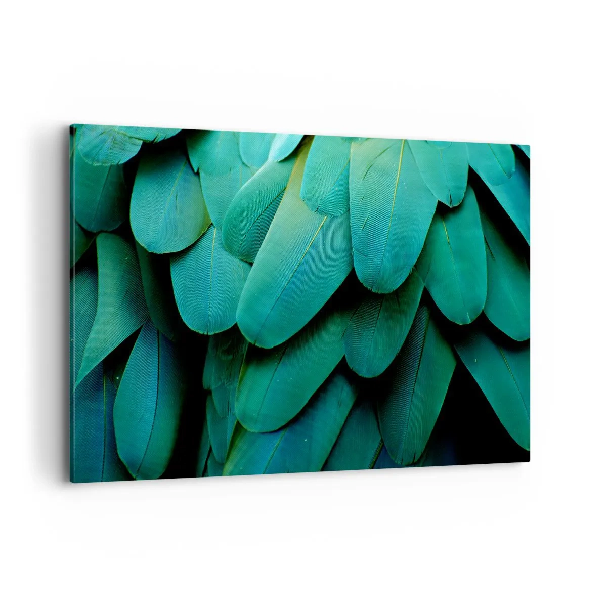 Schilderen op canvas - Papegaaiachtige precisie - 120x80 cm