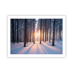 Poster - Duidelijk in zwart-wit - 70x50 cm