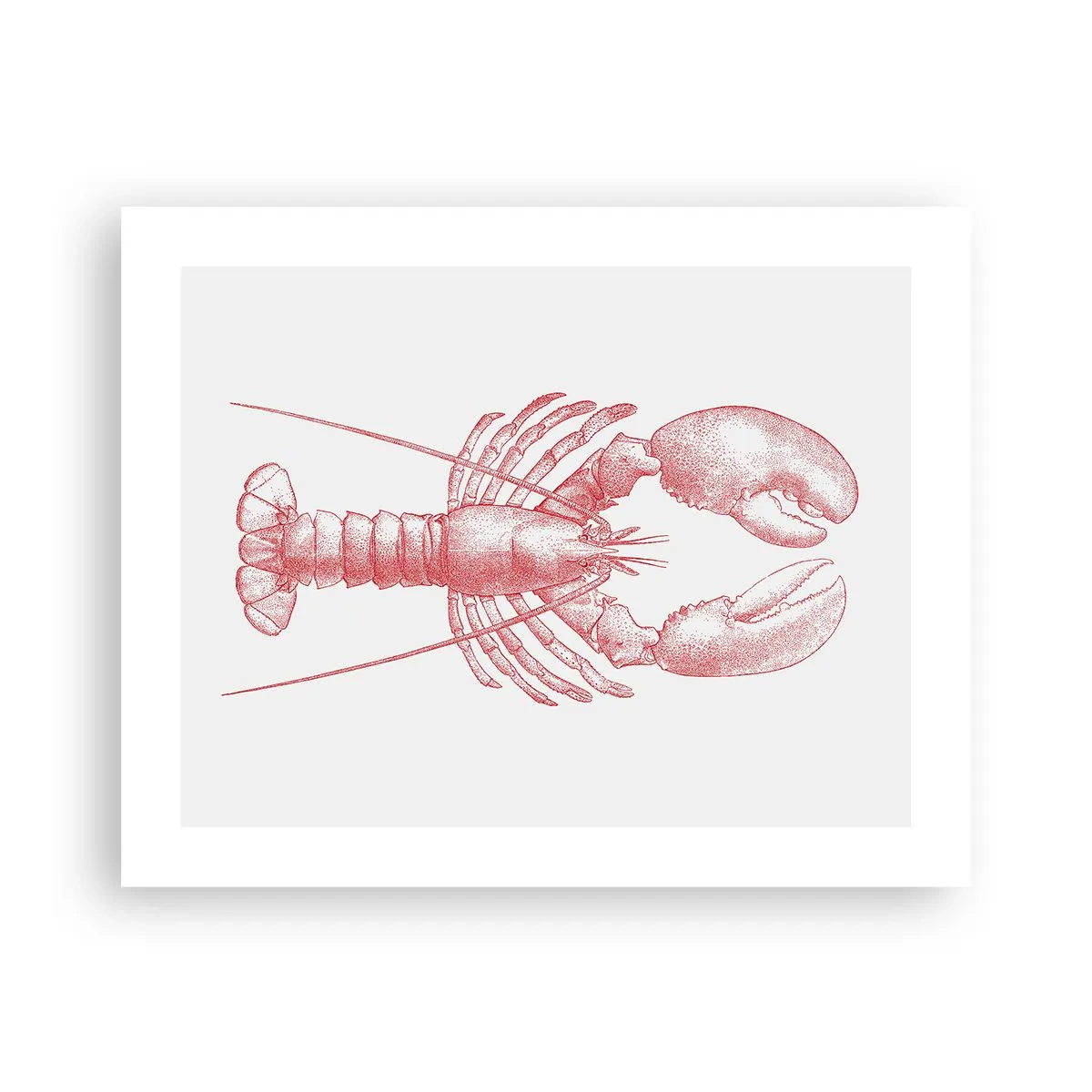Poster - Een kreeft waardig Homer - 50x40 cm