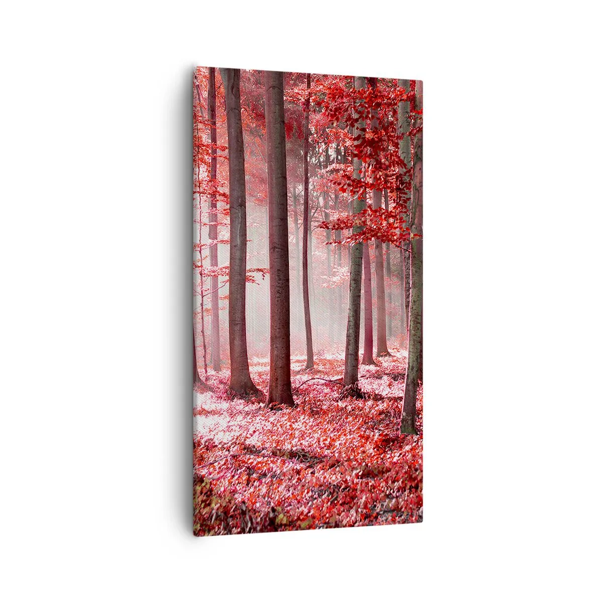 Schilderen op canvas - Rood is net zo mooi - 55x100 cm