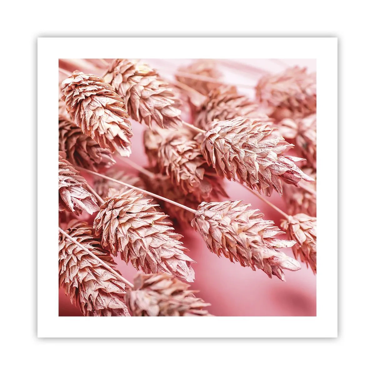 Poster - Een bloemencascade in roze - 50x50 cm