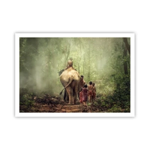 Poster - Nieuw Jungle Boek - 100x70 cm