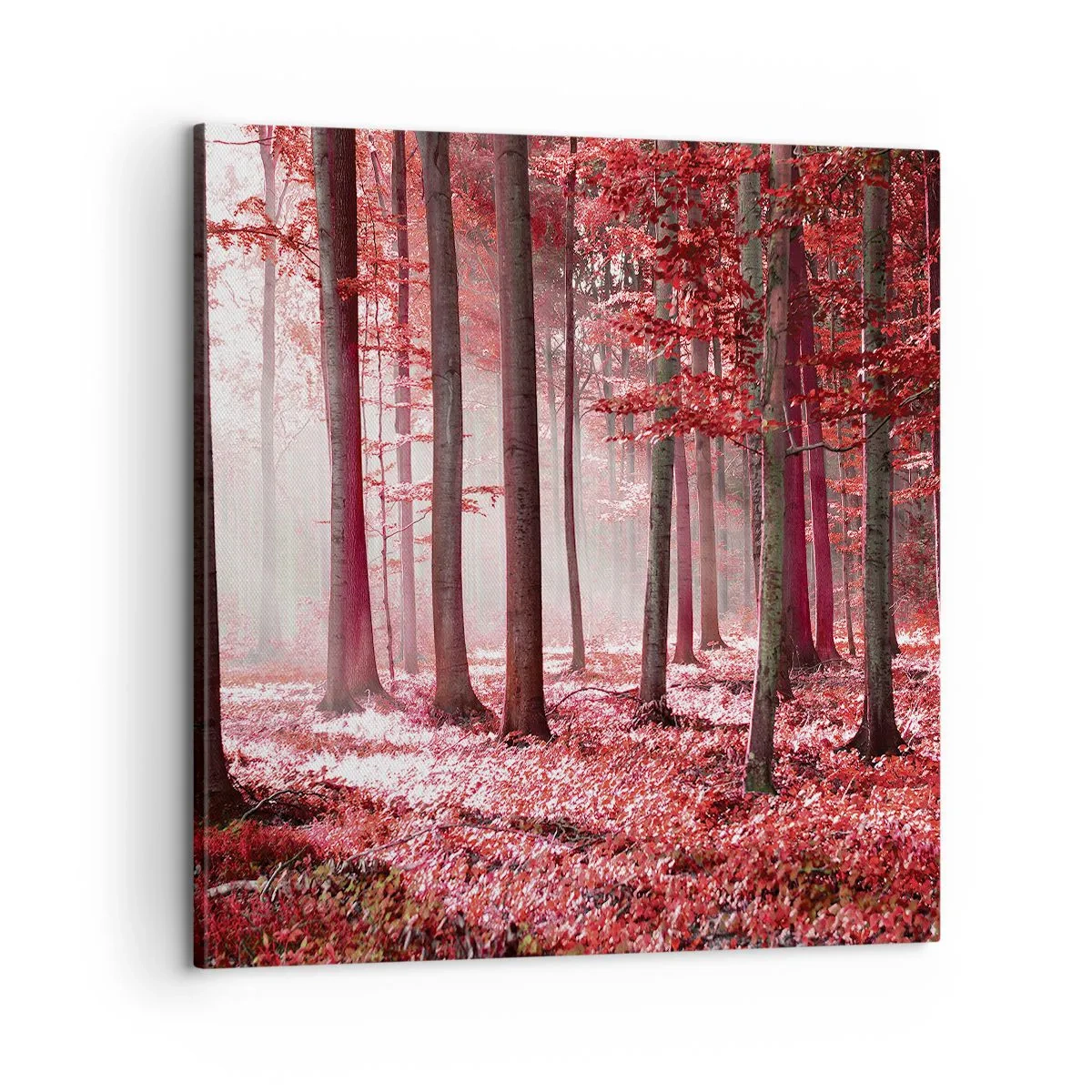 Schilderen op canvas - Rood is net zo mooi - 60x60 cm