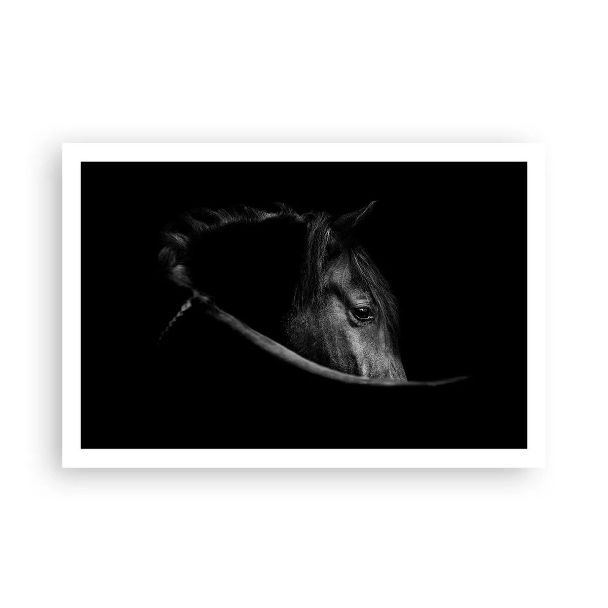 Poster - Zwarte Prins - 91x61 cm