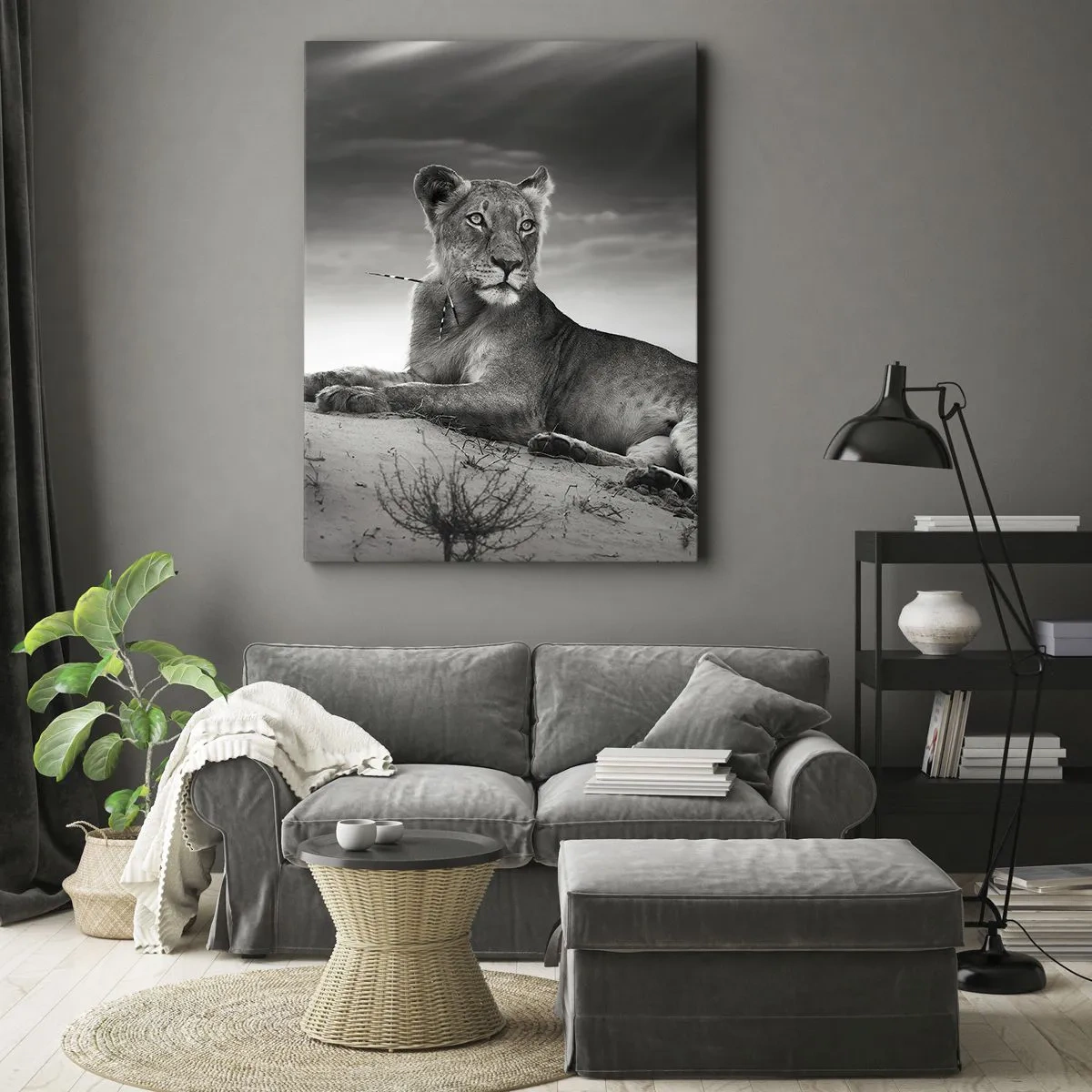 Schilderen op canvas - De koningin van de woestijn rust - 50x70 cm