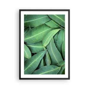 Poster in een zwarte lijst - Groene bladeren gerangschikt in een dichte compositie - 50x70cm - Sappig en fris - Moderne wanddecoratie voor woonkamer en slaapkamer ARTTOR