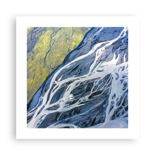 Poster - Rotstekeningen van de natuur - 40x40 cm