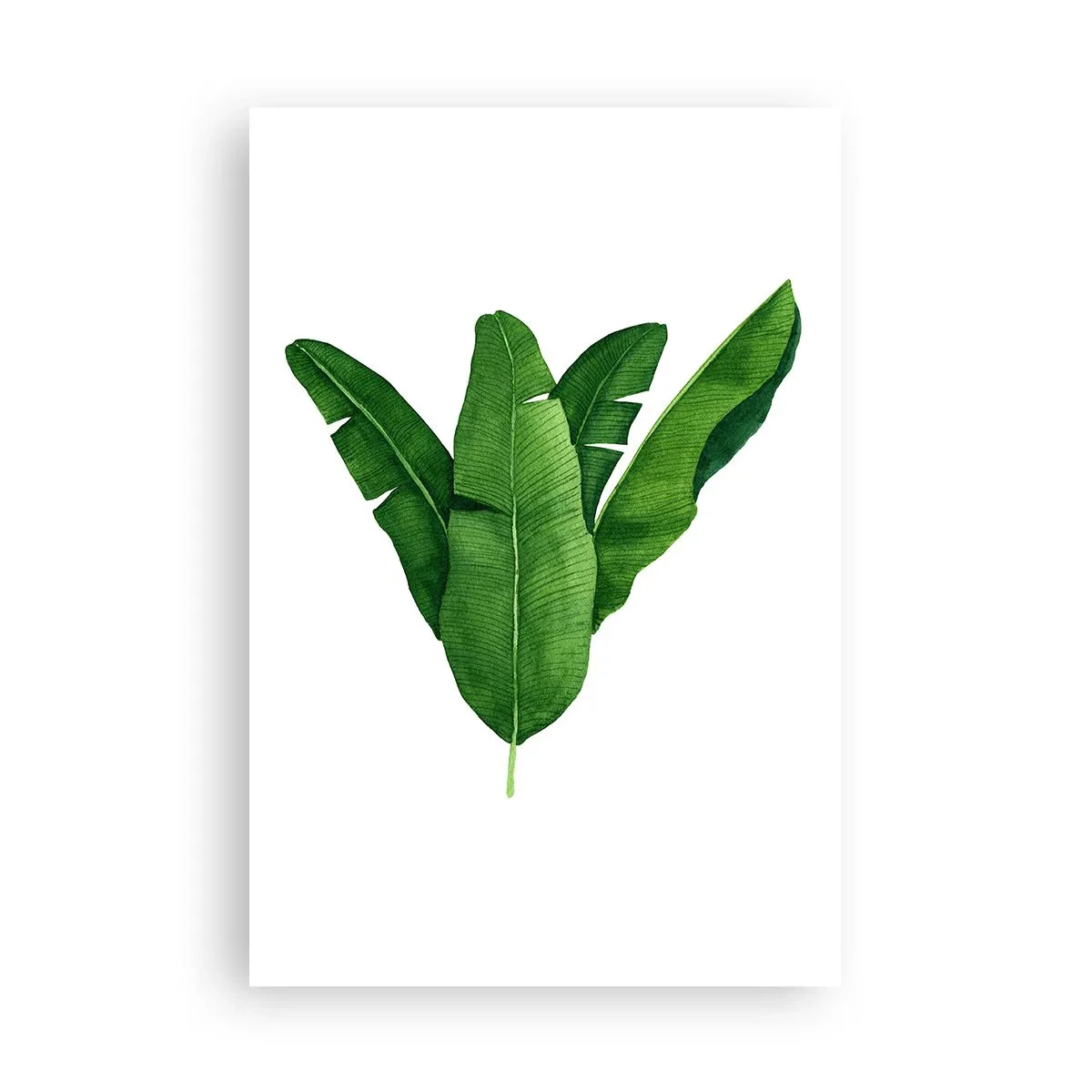 Poster - Groene symmetrie - 61x91 cm