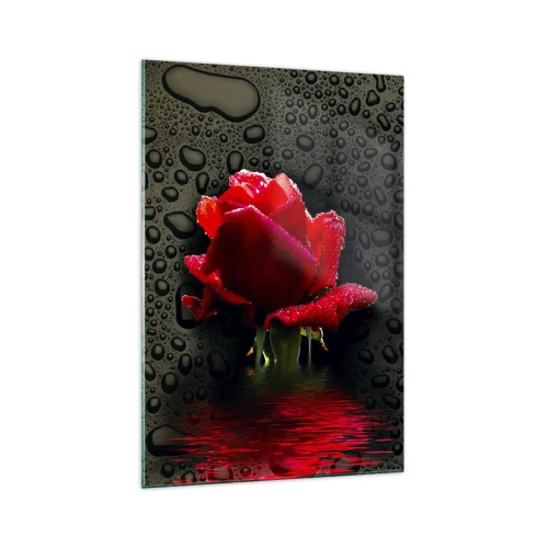 Schilderen op glas - Rood en zwart - 70x100 cm