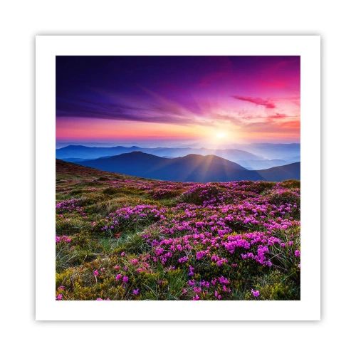 Poster - Kruiden roken naar verse trossen van de velden - 50x50 cm