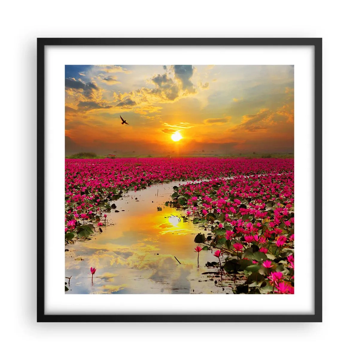 Poster in een zwarte lijst - Het geheime leven van het meer - 50x50 cm