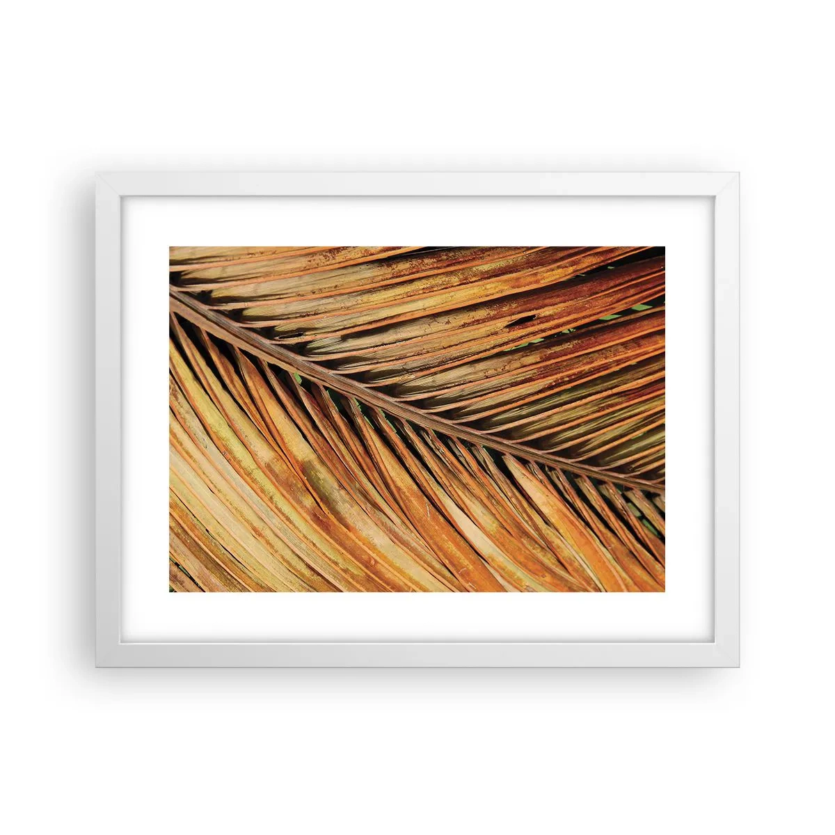 Poster in een witte lijst - Kokos goud - 40x30 cm