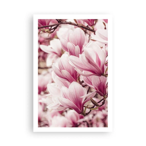 Poster - De lente is roze - 61x91 cm