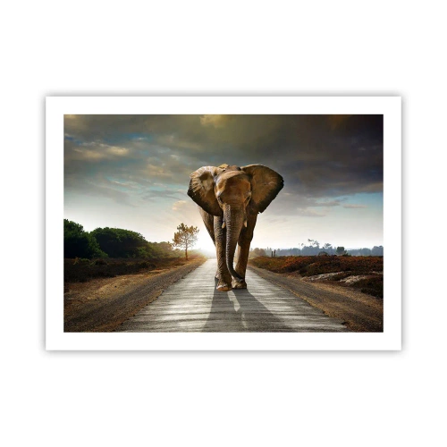 Poster - En helemaal niet in een porseleinen pakhuis - 70x50 cm