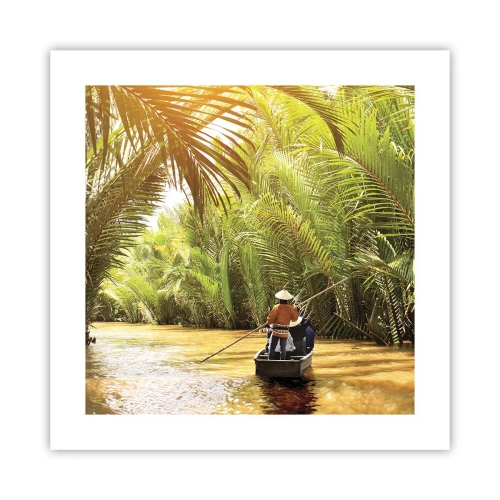 Poster - Een palmravijn langs - 40x40 cm